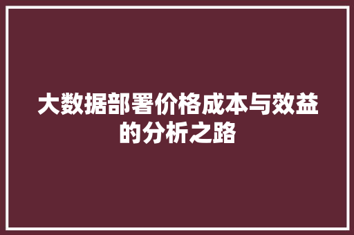 大数据部署价格成本与效益的分析之路