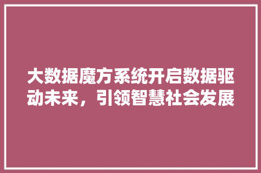 大数据魔方系统开启数据驱动未来，引领智慧社会发展  第1张