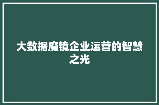 大数据魔镜企业运营的智慧之光  第1张
