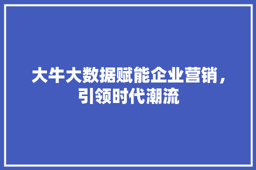 大牛大数据赋能企业营销，引领时代潮流