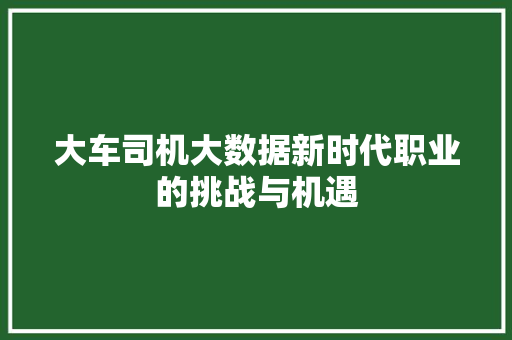 大车司机大数据新时代职业的挑战与机遇