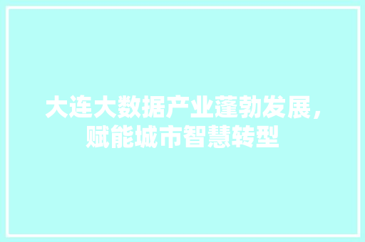 大连大数据产业蓬勃发展，赋能城市智慧转型  第1张