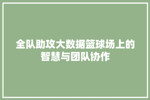 全队助攻大数据篮球场上的智慧与团队协作