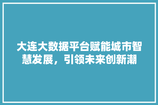大连大数据平台赋能城市智慧发展，引领未来创新潮  第1张