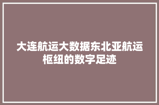 大连航运大数据东北亚航运枢纽的数字足迹