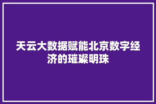 天云大数据赋能北京数字经济的璀璨明珠