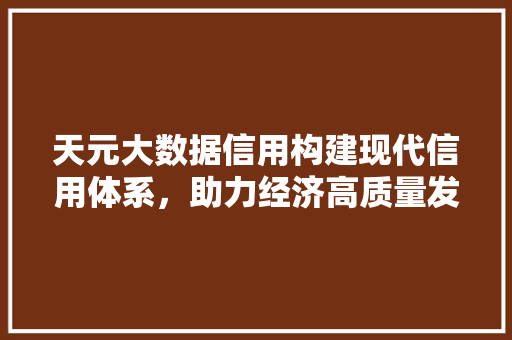 天元大数据信用构建现代信用体系，助力经济高质量发展