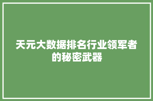 天元大数据排名行业领军者的秘密武器