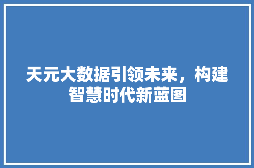 天元大数据引领未来，构建智慧时代新蓝图