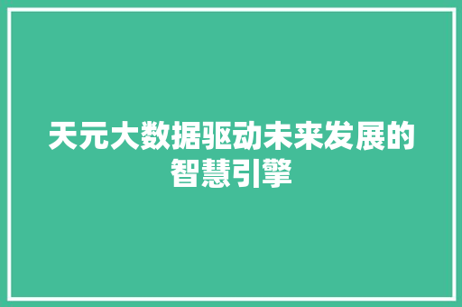 天元大数据驱动未来发展的智慧引擎