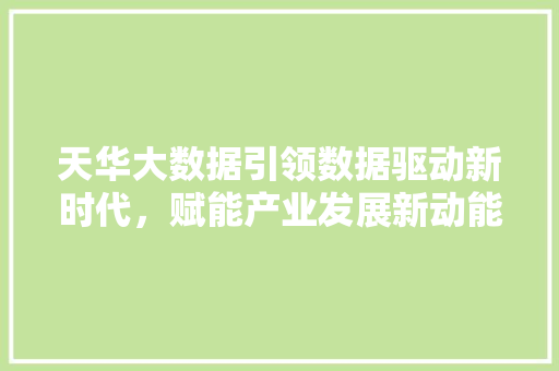 天华大数据引领数据驱动新时代，赋能产业发展新动能
