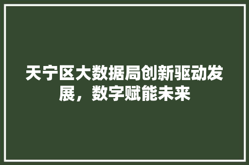 天宁区大数据局创新驱动发展，数字赋能未来