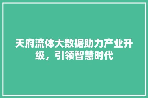 天府流体大数据助力产业升级，引领智慧时代