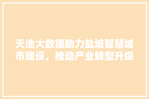天池大数据助力盐城智慧城市建设，推动产业转型升级  第1张