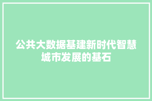公共大数据基建新时代智慧城市发展的基石