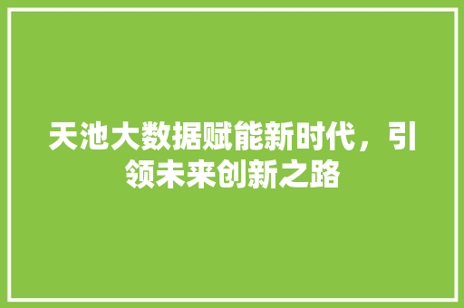 天池大数据赋能新时代，引领未来创新之路