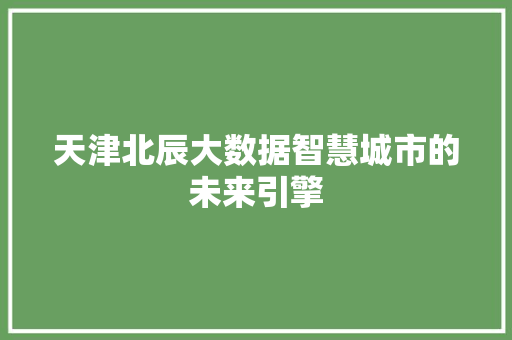 天津北辰大数据智慧城市的未来引擎