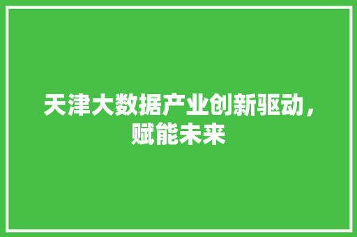 天津大数据产业创新驱动，赋能未来  第1张