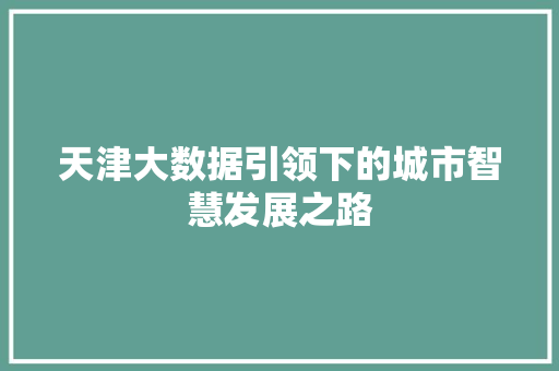 天津大数据引领下的城市智慧发展之路