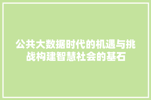 公共大数据时代的机遇与挑战构建智慧社会的基石