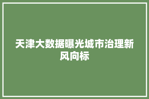 天津大数据曝光城市治理新风向标