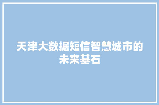 天津大数据短信智慧城市的未来基石