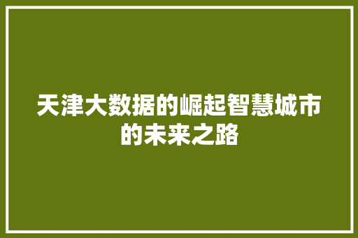 天津大数据的崛起智慧城市的未来之路  第1张