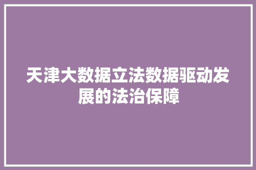天津大数据立法数据驱动发展的法治保障