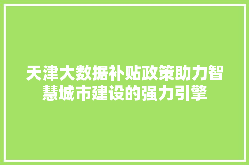 天津大数据补贴政策助力智慧城市建设的强力引擎