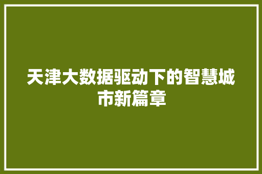 天津大数据驱动下的智慧城市新篇章