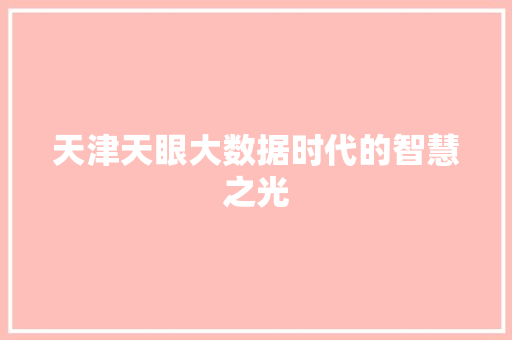 天津天眼大数据时代的智慧之光  第1张