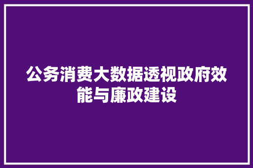 公务消费大数据透视政府效能与廉政建设