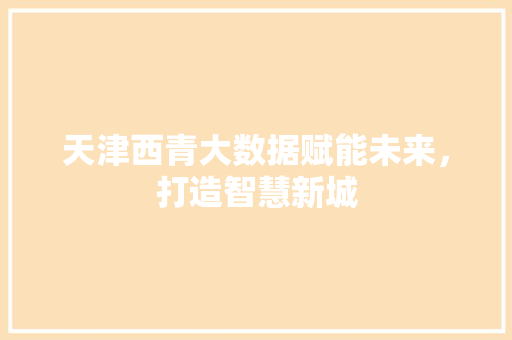 天津西青大数据赋能未来，打造智慧新城  第1张