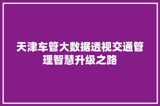 天津车管大数据透视交通管理智慧升级之路  第1张