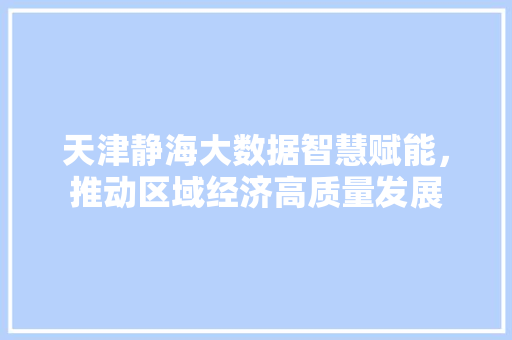 天津静海大数据智慧赋能，推动区域经济高质量发展