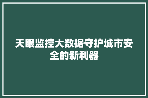 天眼监控大数据守护城市安全的新利器