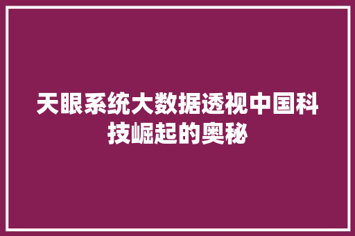 天眼系统大数据透视中国科技崛起的奥秘