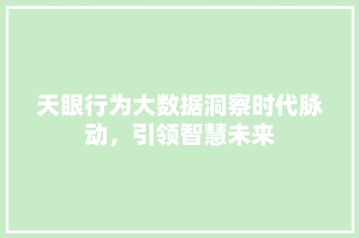 天眼行为大数据洞察时代脉动，引领智慧未来