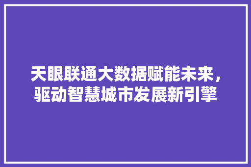 天眼联通大数据赋能未来，驱动智慧城市发展新引擎