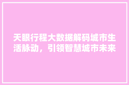 天眼行程大数据解码城市生活脉动，引领智慧城市未来