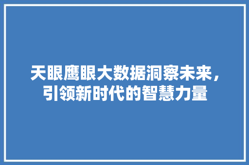 天眼鹰眼大数据洞察未来，引领新时代的智慧力量
