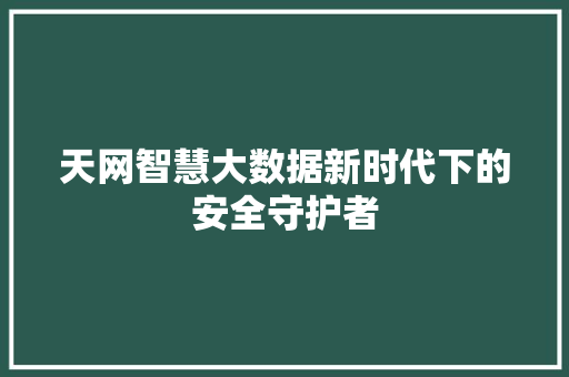 天网智慧大数据新时代下的安全守护者