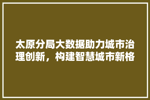 太原分局大数据助力城市治理创新，构建智慧城市新格局  第1张