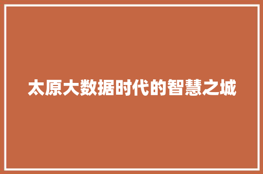 太原大数据时代的智慧之城
