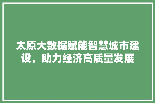 太原大数据赋能智慧城市建设，助力经济高质量发展