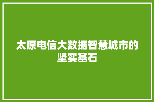 太原电信大数据智慧城市的坚实基石