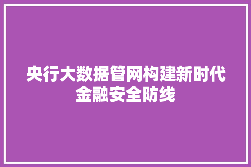 央行大数据管网构建新时代金融安全防线