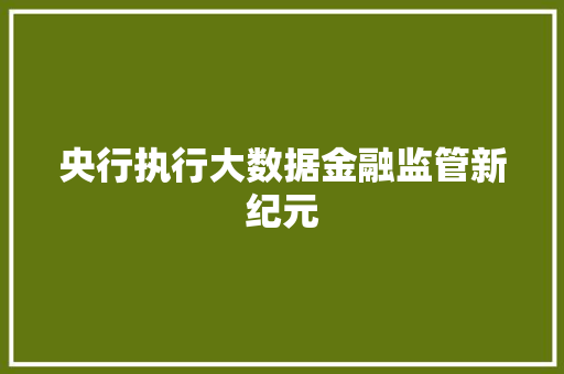 央行执行大数据金融监管新纪元  第1张