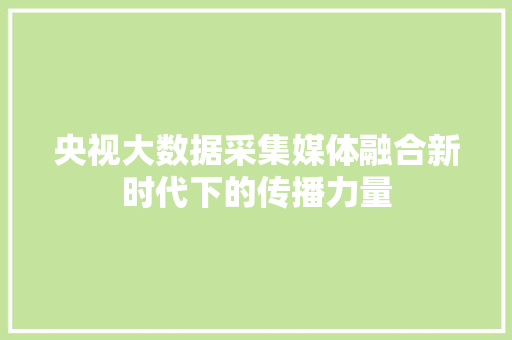 央视大数据采集媒体融合新时代下的传播力量