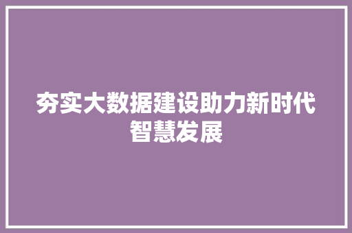 夯实大数据建设助力新时代智慧发展